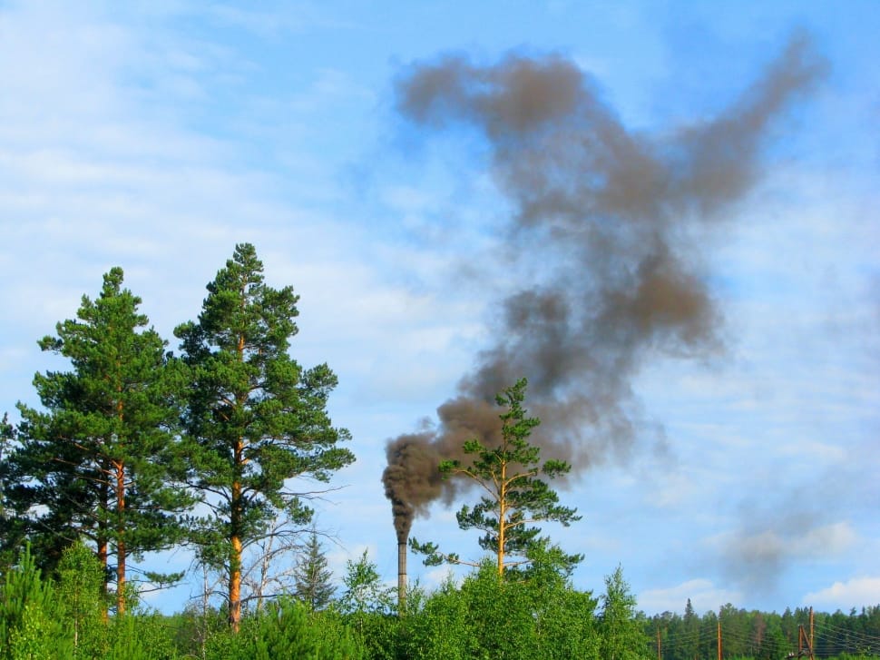 Chimney, Environment Pollution, Smoke, Tree, Nature - Nature Pollution - HD Wallpaper 