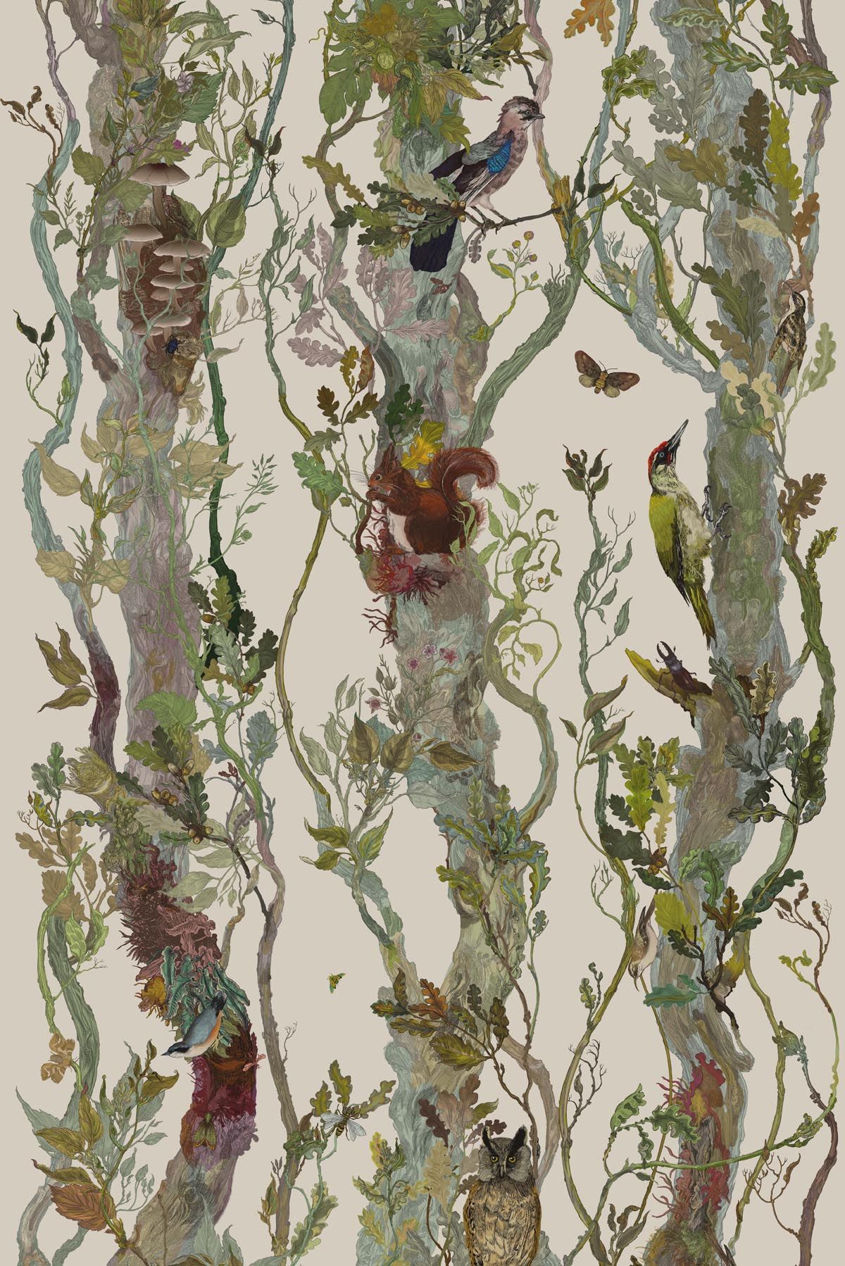 Indie Wood Fabric Wallpaper - Bloomsbury Garden Timorous Beasties Fabric - HD Wallpaper 