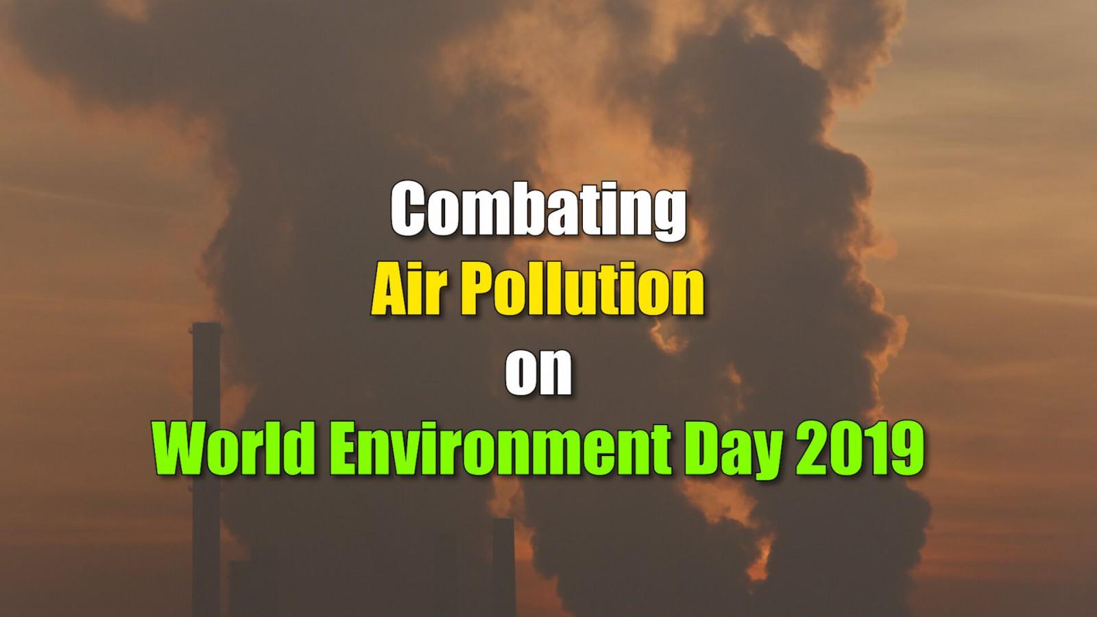 Cat In Christmas Tree - HD Wallpaper 