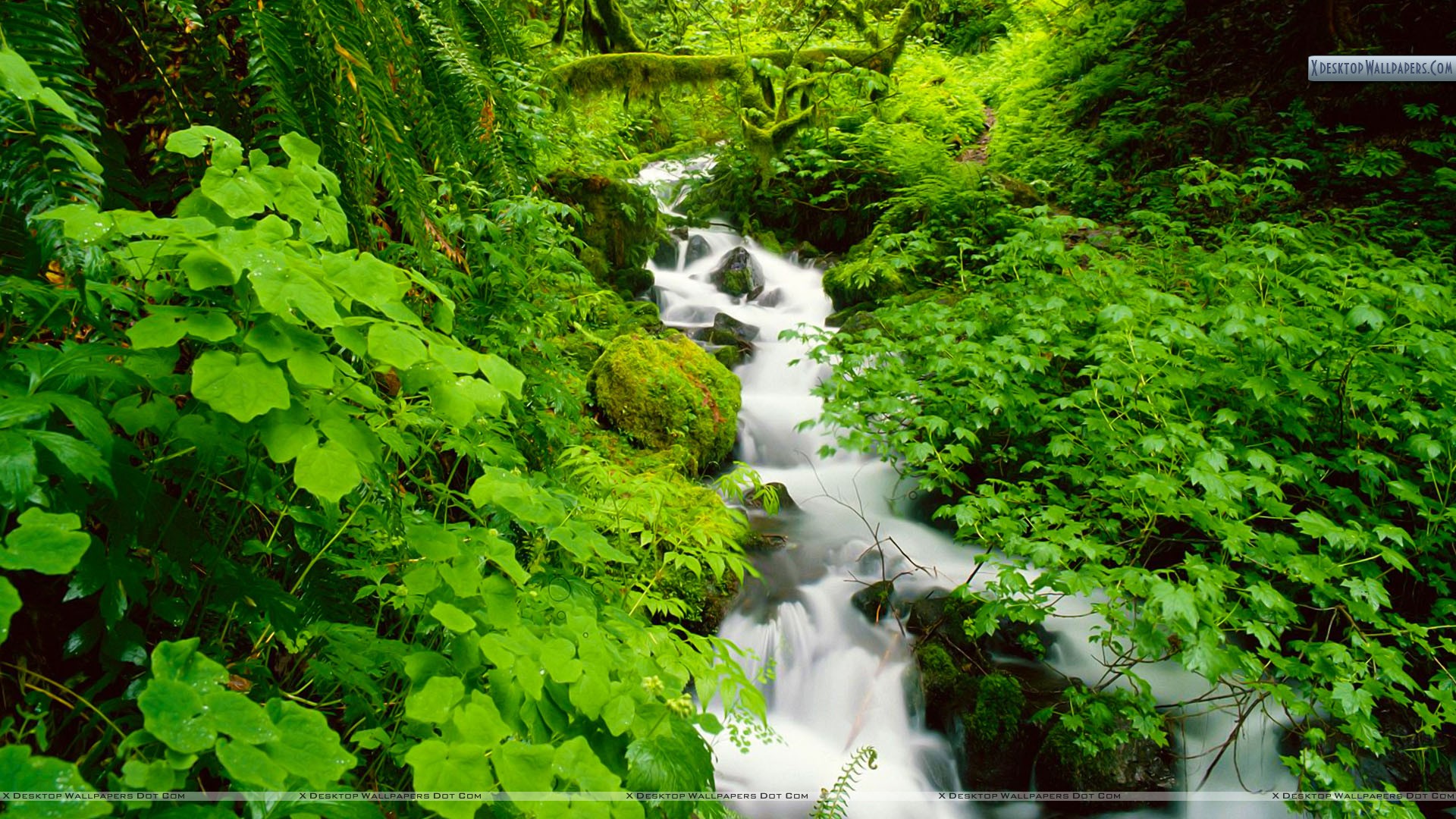 Columbia River Gorge Desktop Background - HD Wallpaper 