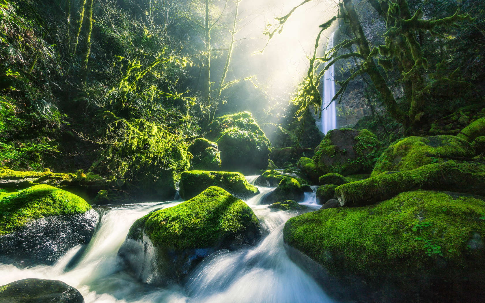 Forest With Waterfall 4k - HD Wallpaper 