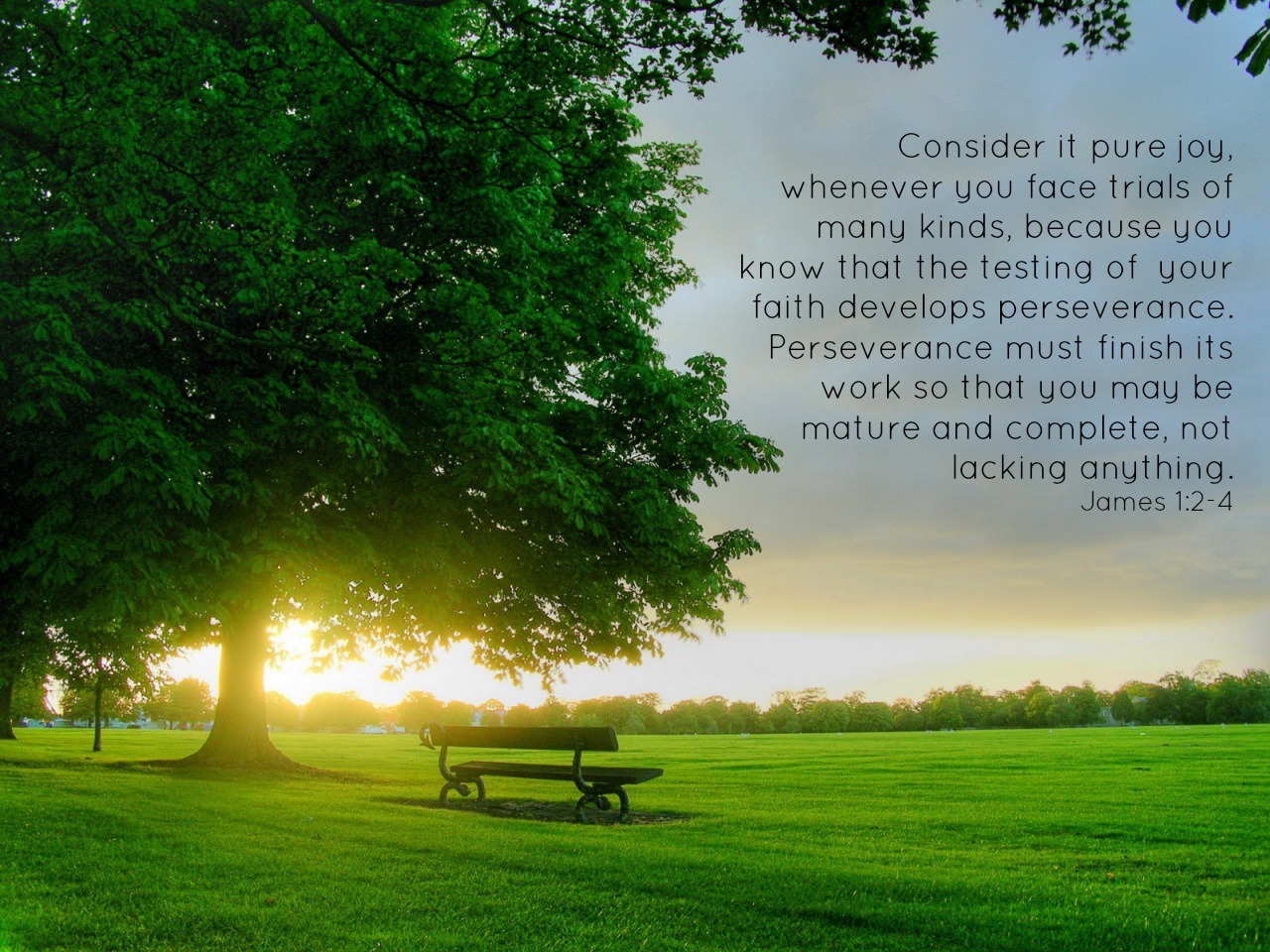 Free Bible Desktop Wallpaper - New Morning New Beginning - HD Wallpaper 