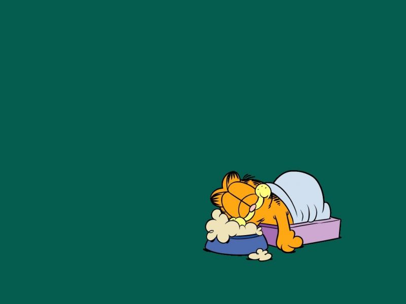 Garfield Sleeping On Food Pillow Wallpaper - Garfield Sleeping - HD Wallpaper 
