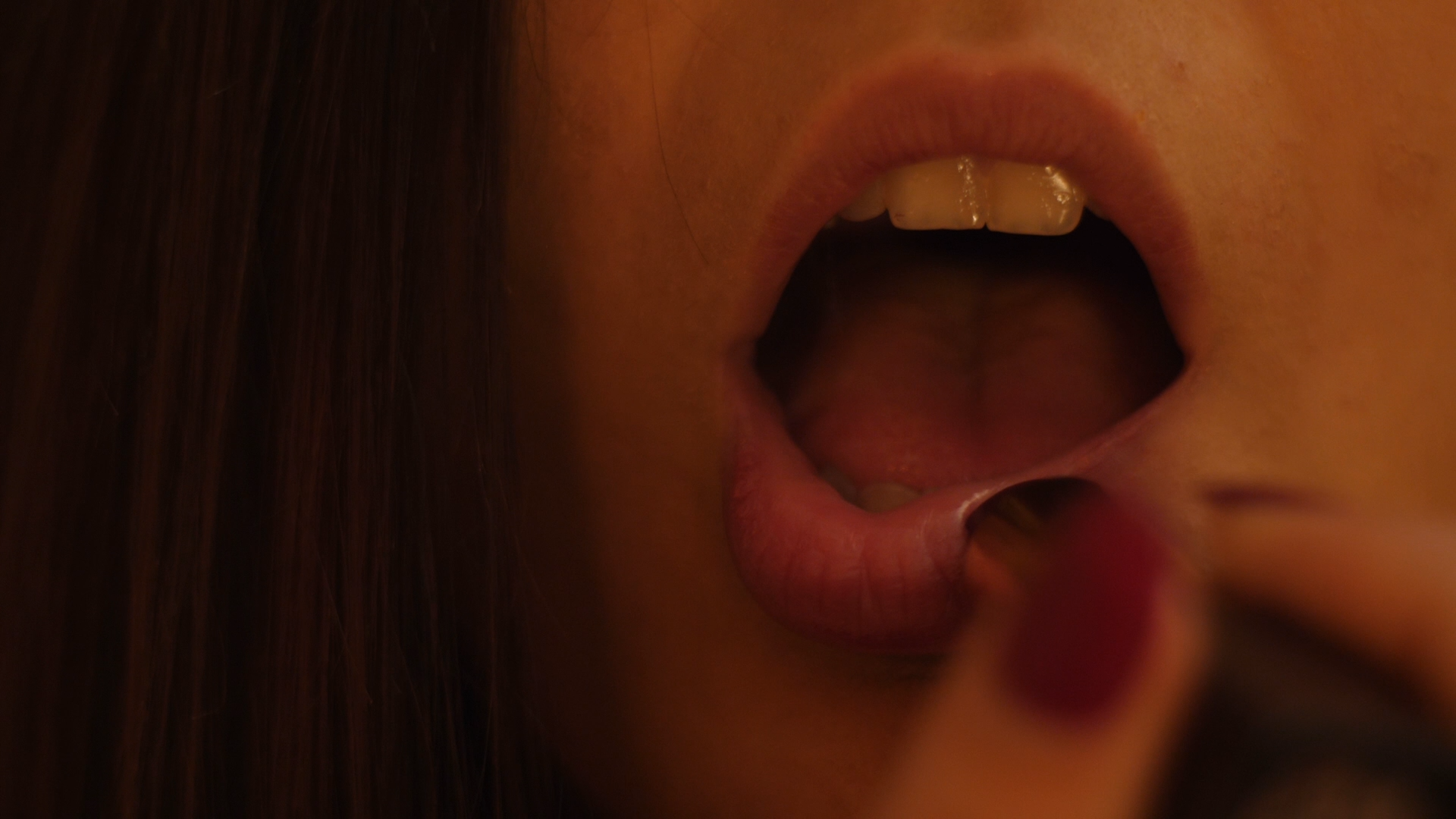 Close-up - HD Wallpaper 