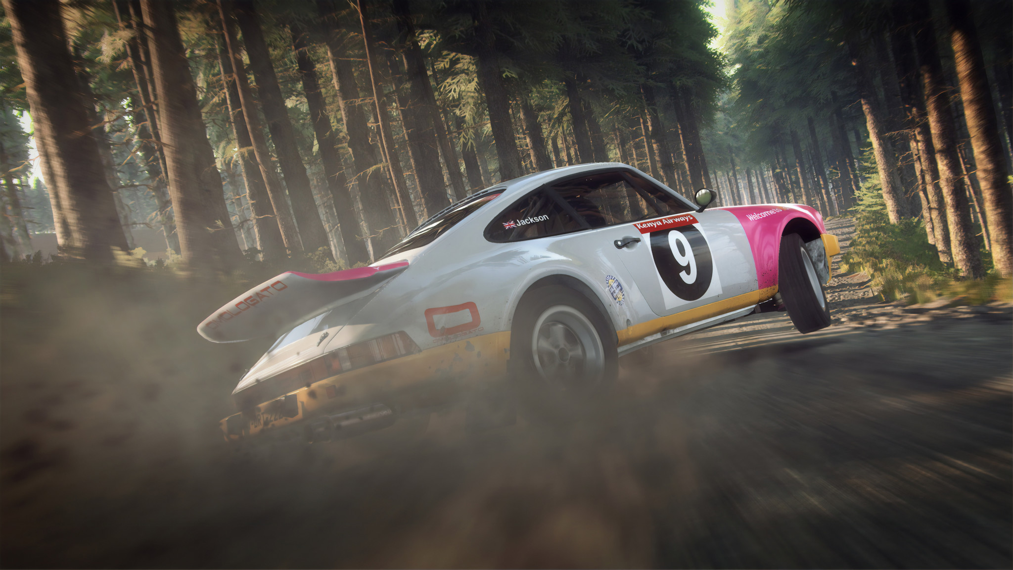 Dirt Rally 2.0 Porsche 911 - HD Wallpaper 