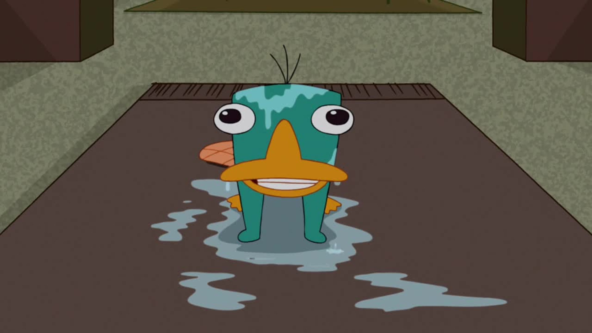 Phineas And Ferb Oh There You Are Perry - HD Wallpaper 