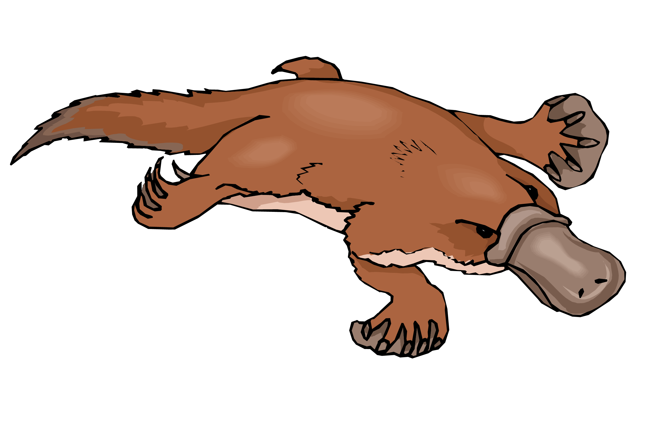 Platypus Free Clipart Free Clip Art Images - Platypus Clipart - HD Wallpaper 