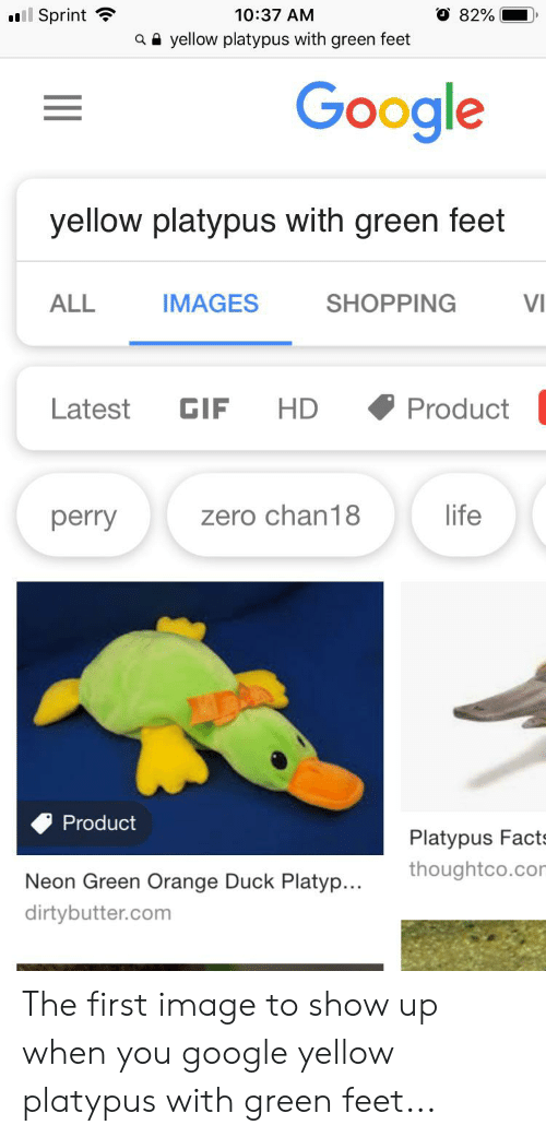 Facts, Gif, And Google - Google - HD Wallpaper 