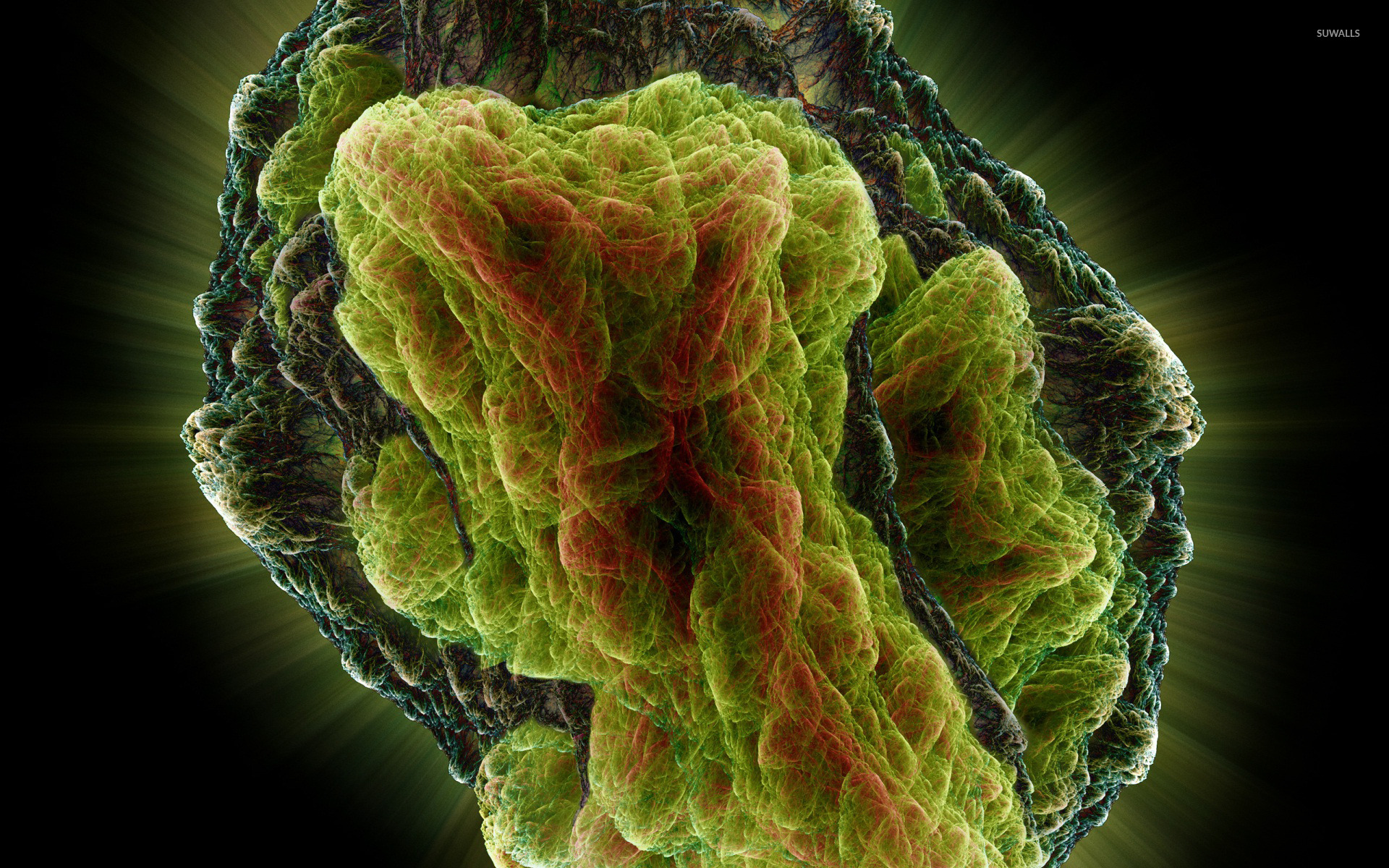 Wallpaper - HD Wallpaper 