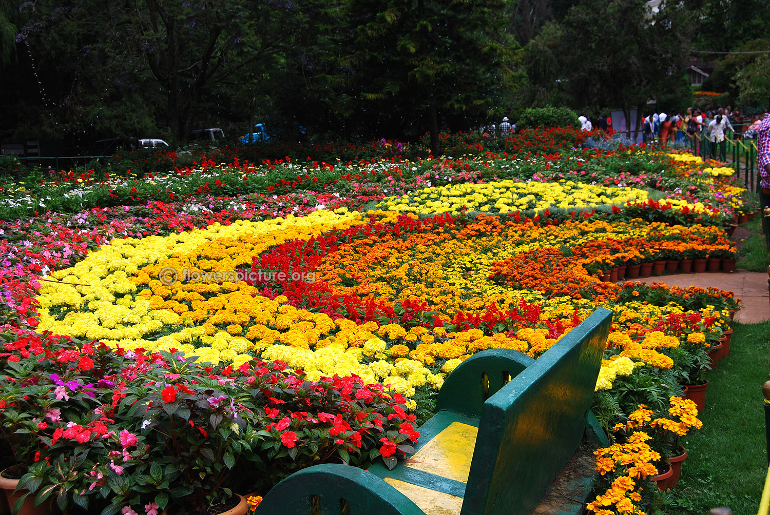 Half Circle Flower Garden Beds Ooty Botanical Garden - HD Wallpaper 
