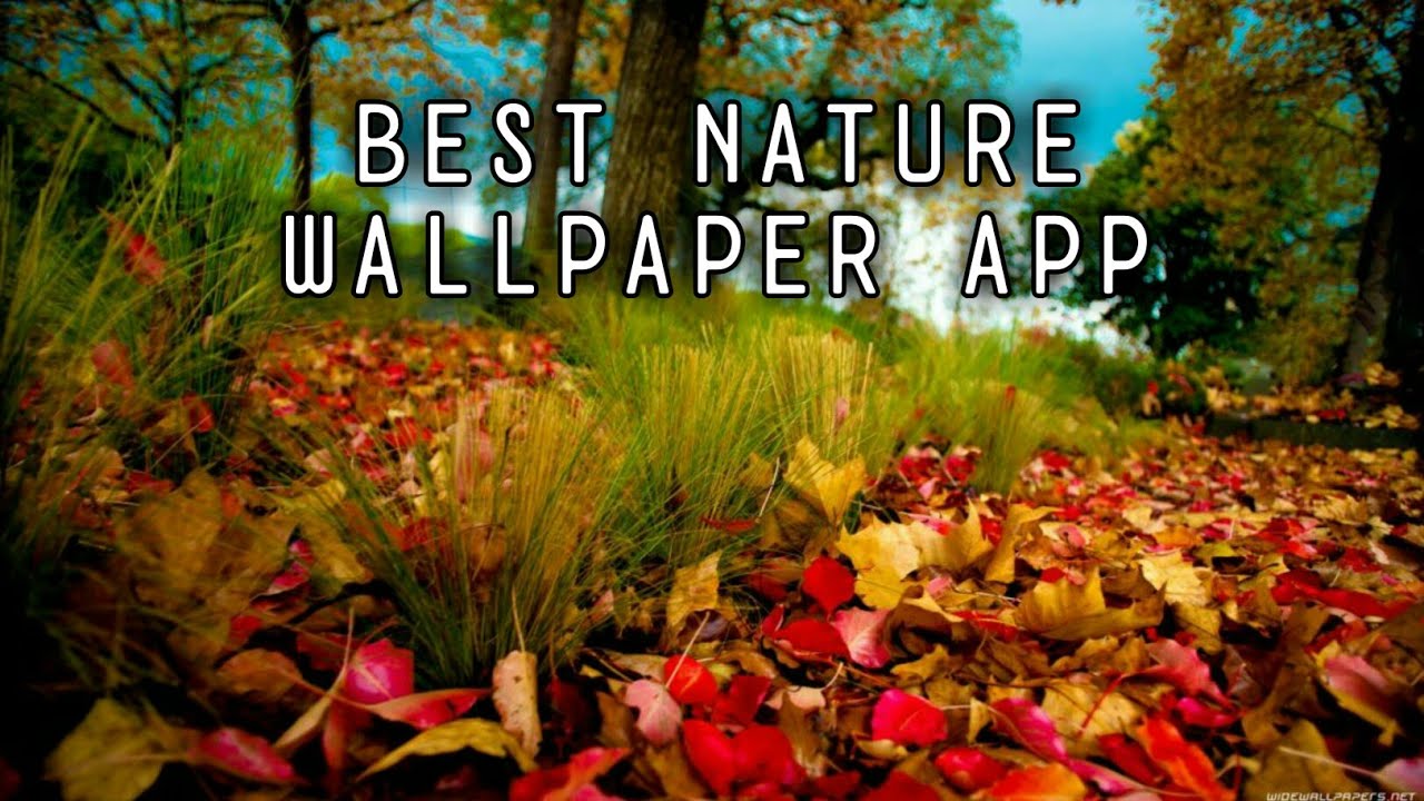 Fondo De Pantalla Otoño 1920 - HD Wallpaper 