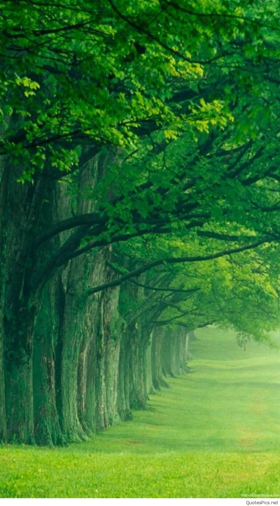 Hd Images Nature Download - HD Wallpaper 