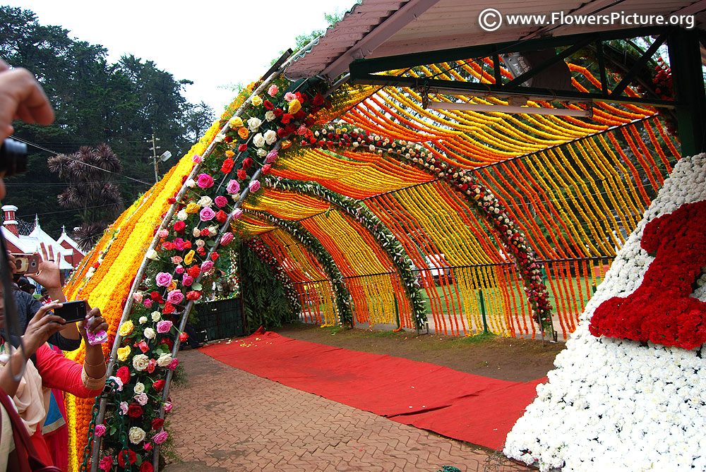 Floral Hut - Ooty Flower Show 2018 - HD Wallpaper 