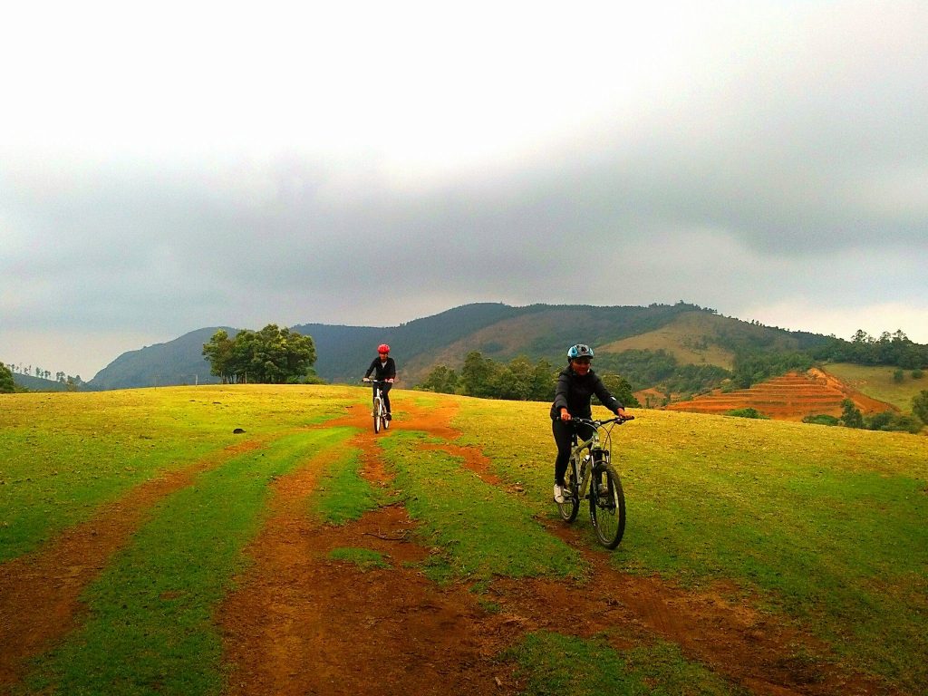 Hybrid Bicycle - HD Wallpaper 