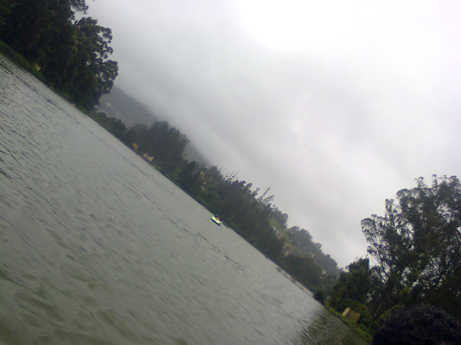 Ooty Photos, Images And Wallpapers Mouthshut
ooty Photos, - Tree - HD Wallpaper 