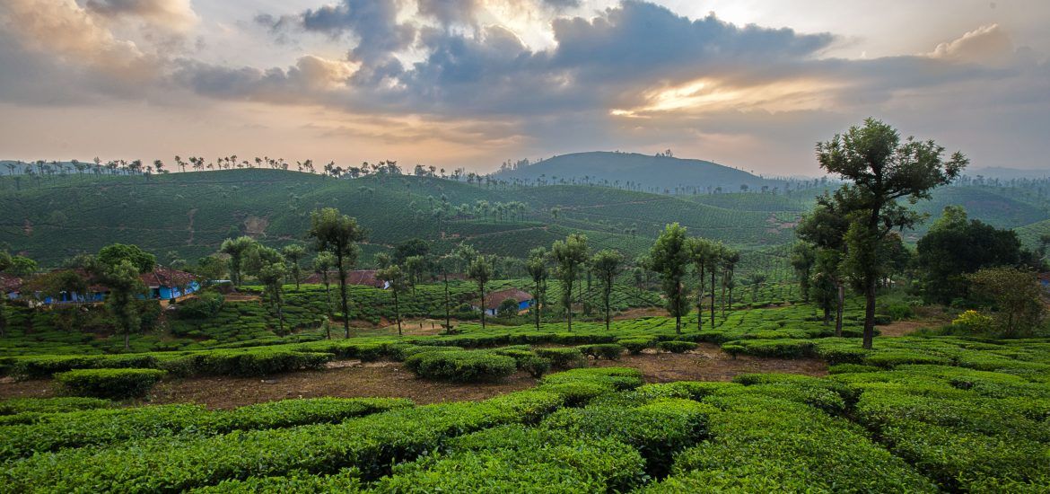 South India Landscape - HD Wallpaper 