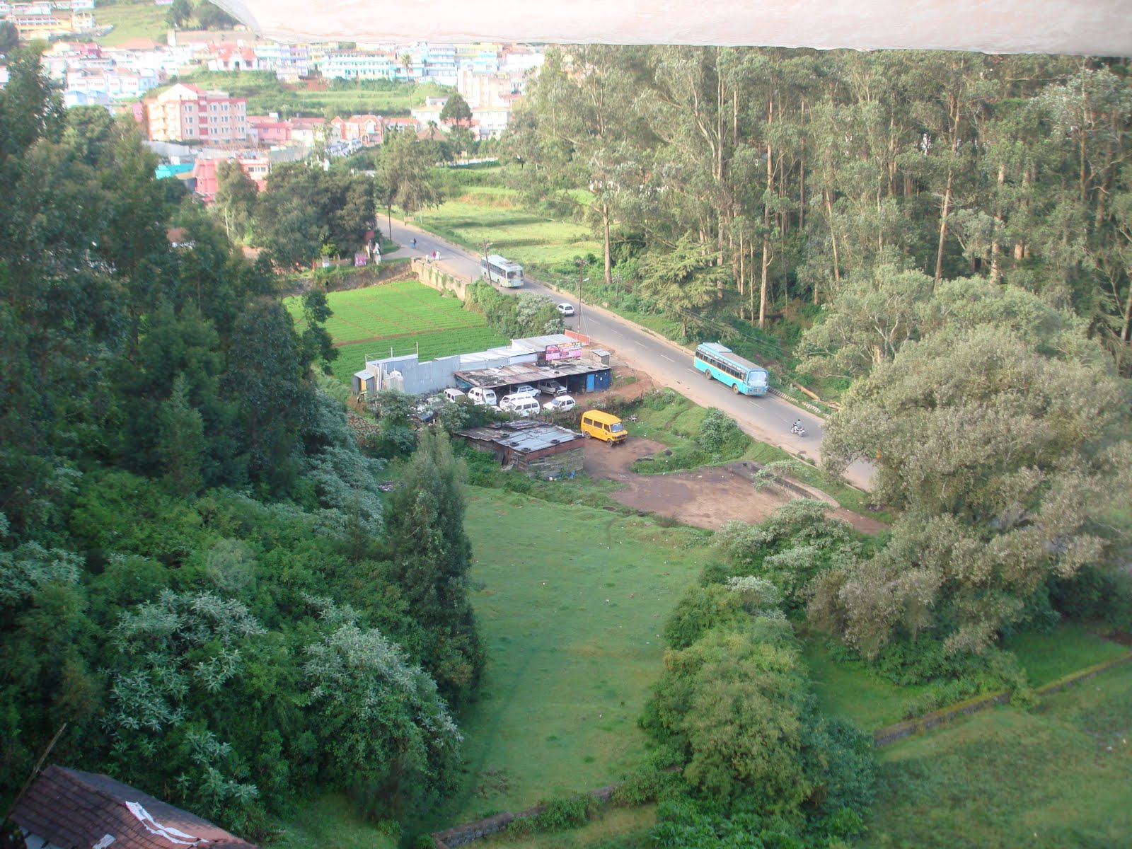 Flowers Beauty Ooty Download Free Flowers Beauty Bollywood - Aerial Photography - HD Wallpaper 