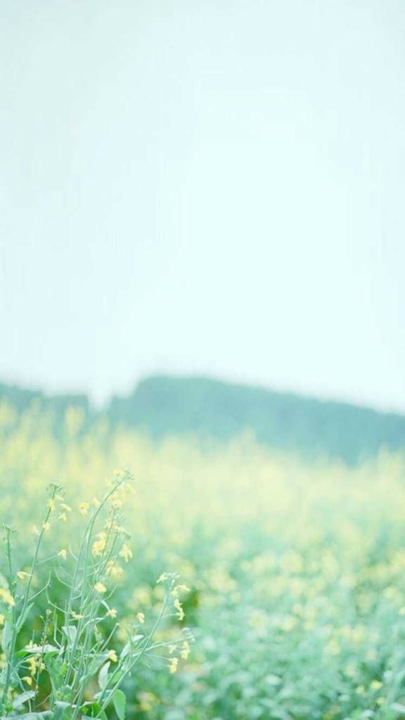 Screen Wallpaper Mobile Simple - HD Wallpaper 