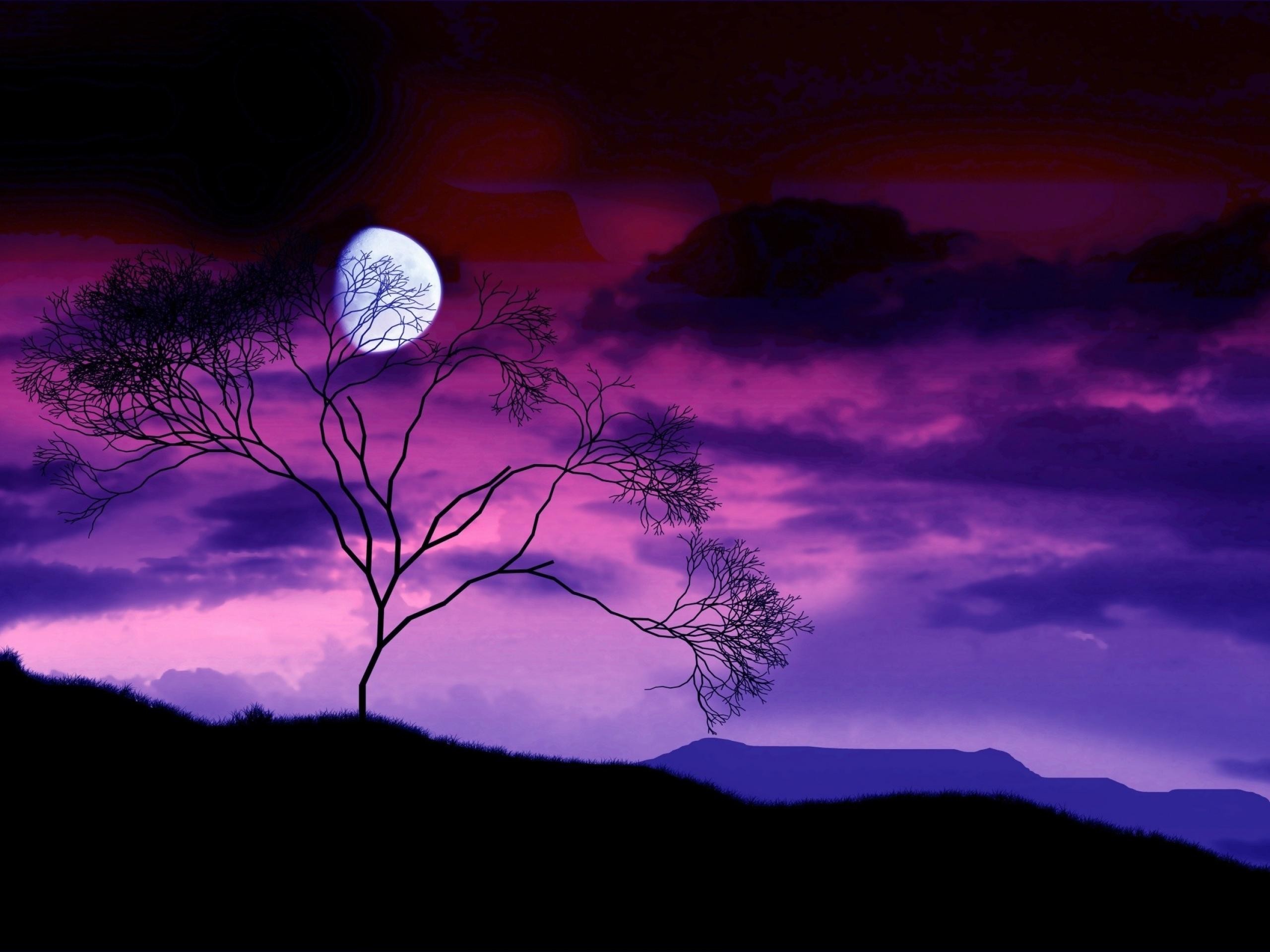 Night Sky Wallpaper 11298 
 Data-src /w/full/b/7/b/43871 - Moon Backgrounds - HD Wallpaper 