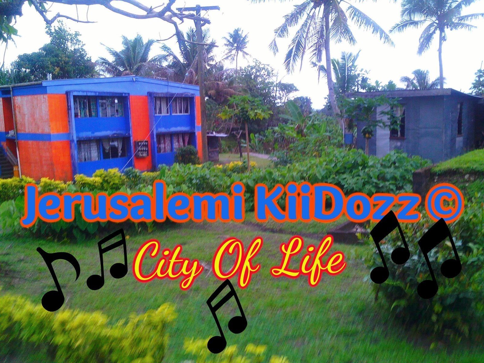 Palm Tree - HD Wallpaper 