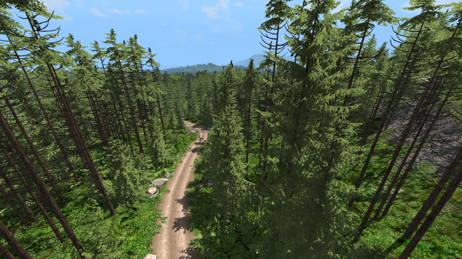 Spruce-fir Forest - HD Wallpaper 