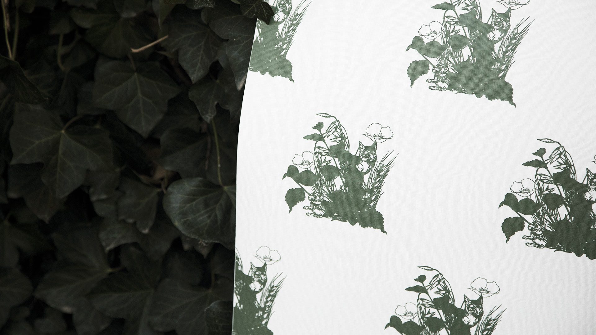 Plane-tree Family - HD Wallpaper 