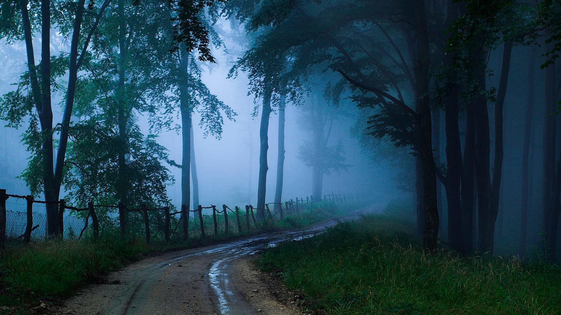 Blue Mist Road Pennsylvania - HD Wallpaper 