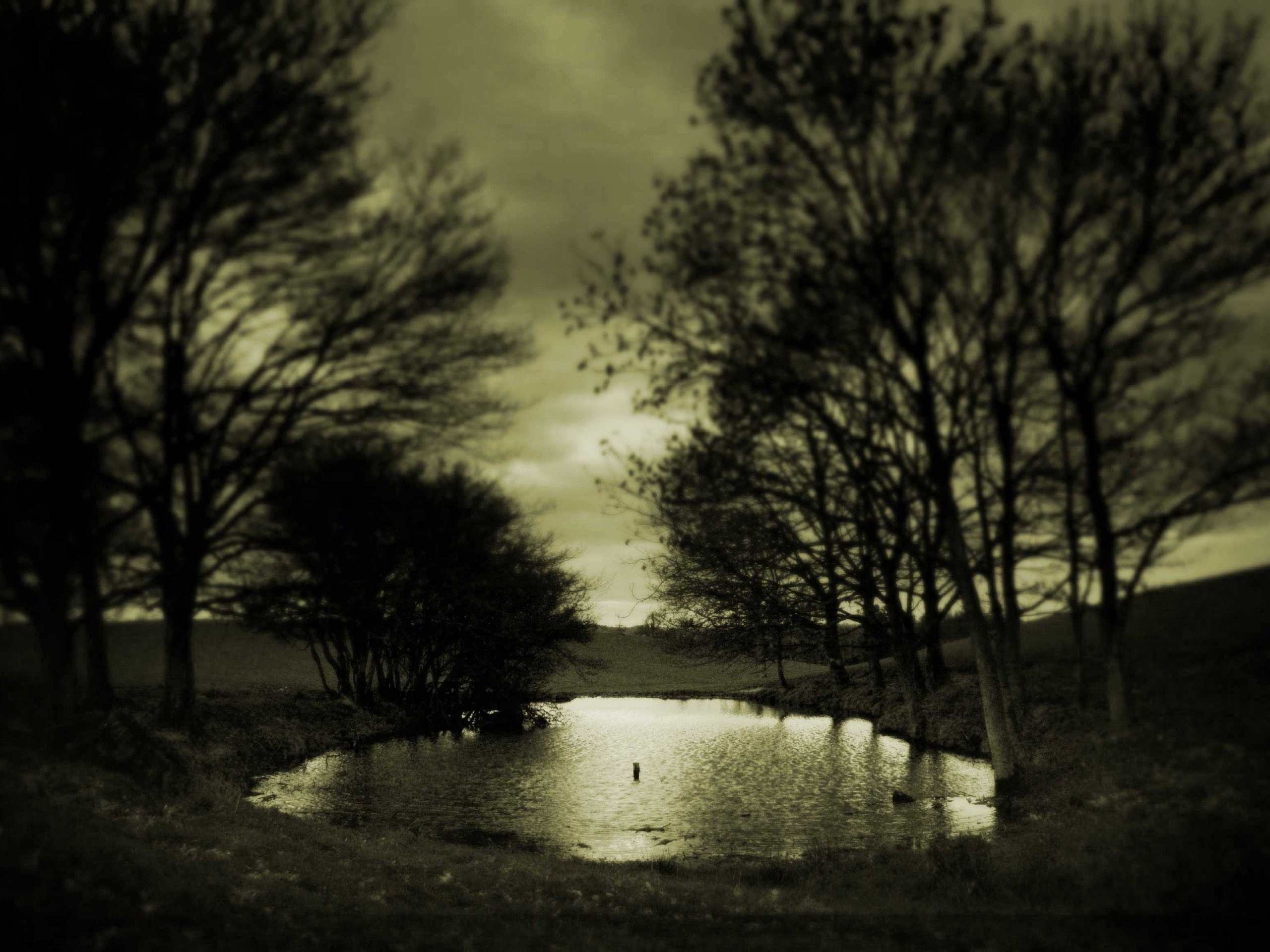 Alone Sad Nature - 2560x1920 Wallpaper - teahub.io