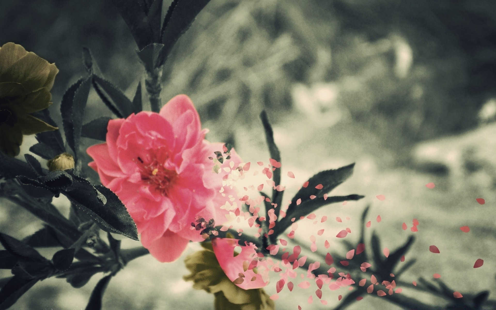 Vintage Flower Flora Nature Leaf Branch Tree Garden - Melancholy Flower - HD Wallpaper 