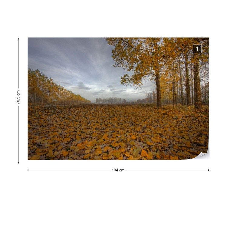 Melancholy Day Wallpaper Mural - Picture Frame - HD Wallpaper 