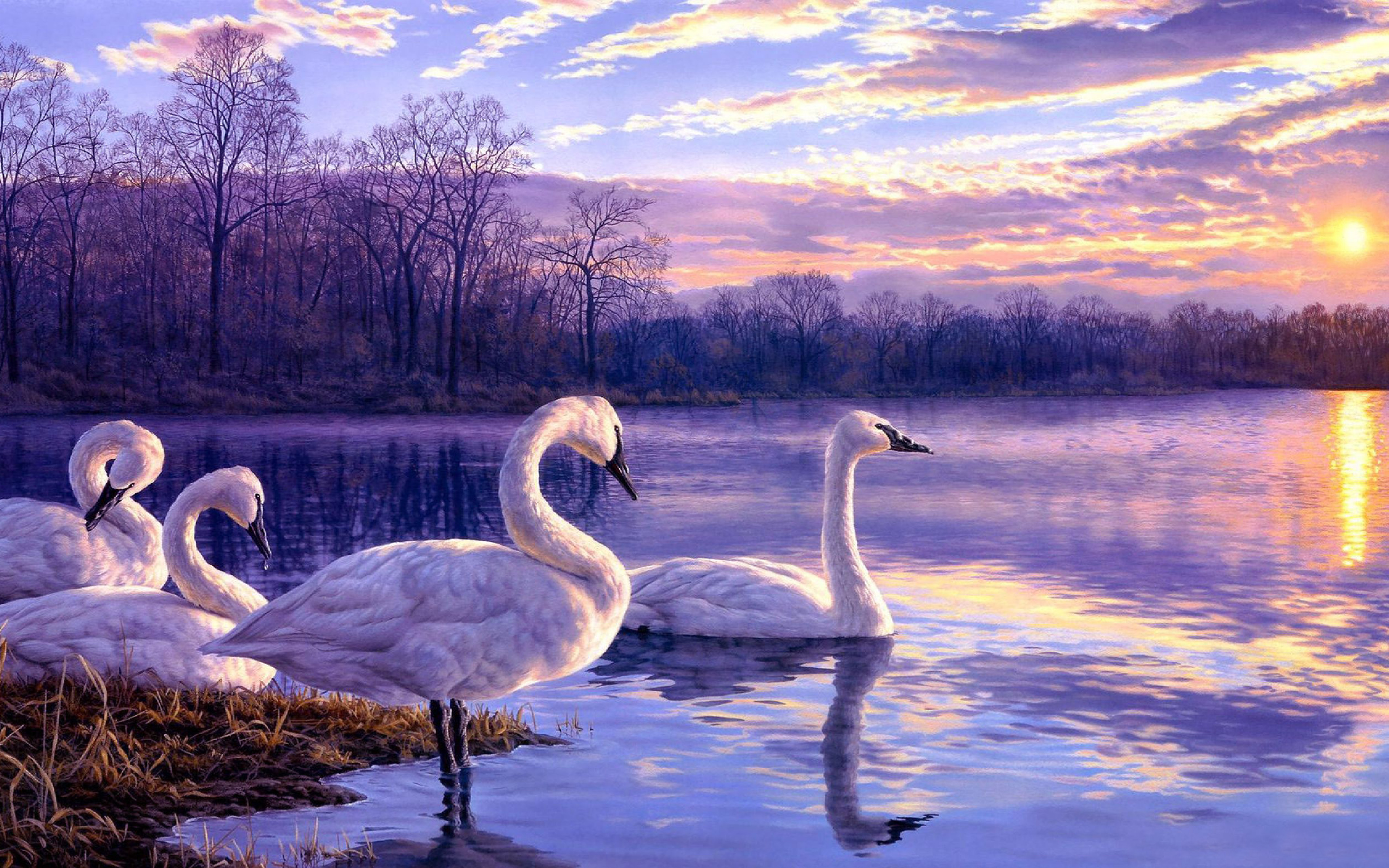 Morning Dawn - HD Wallpaper 