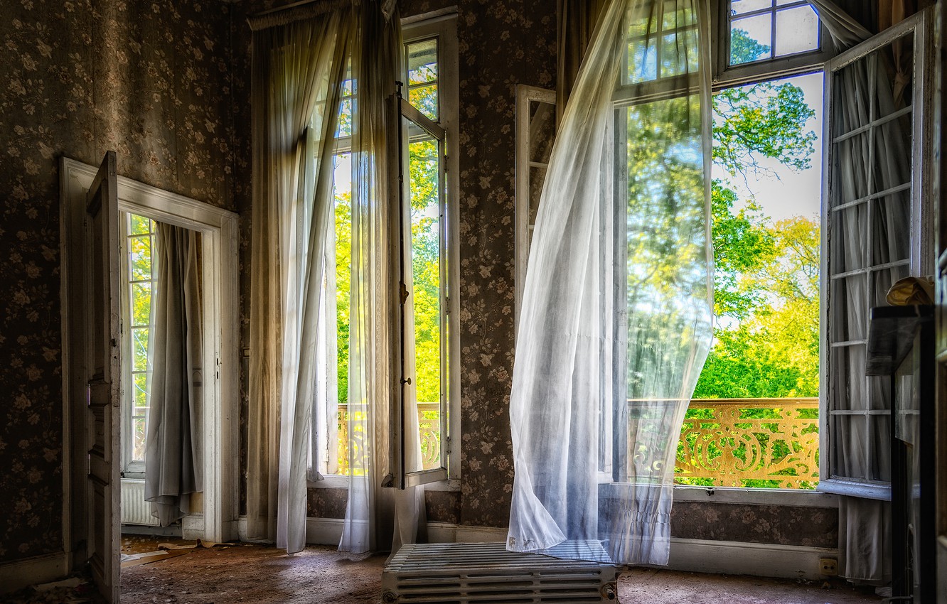 Photo Wallpaper Greens, Summer, Light, Trees, Garbage, - Wallpaper - HD Wallpaper 