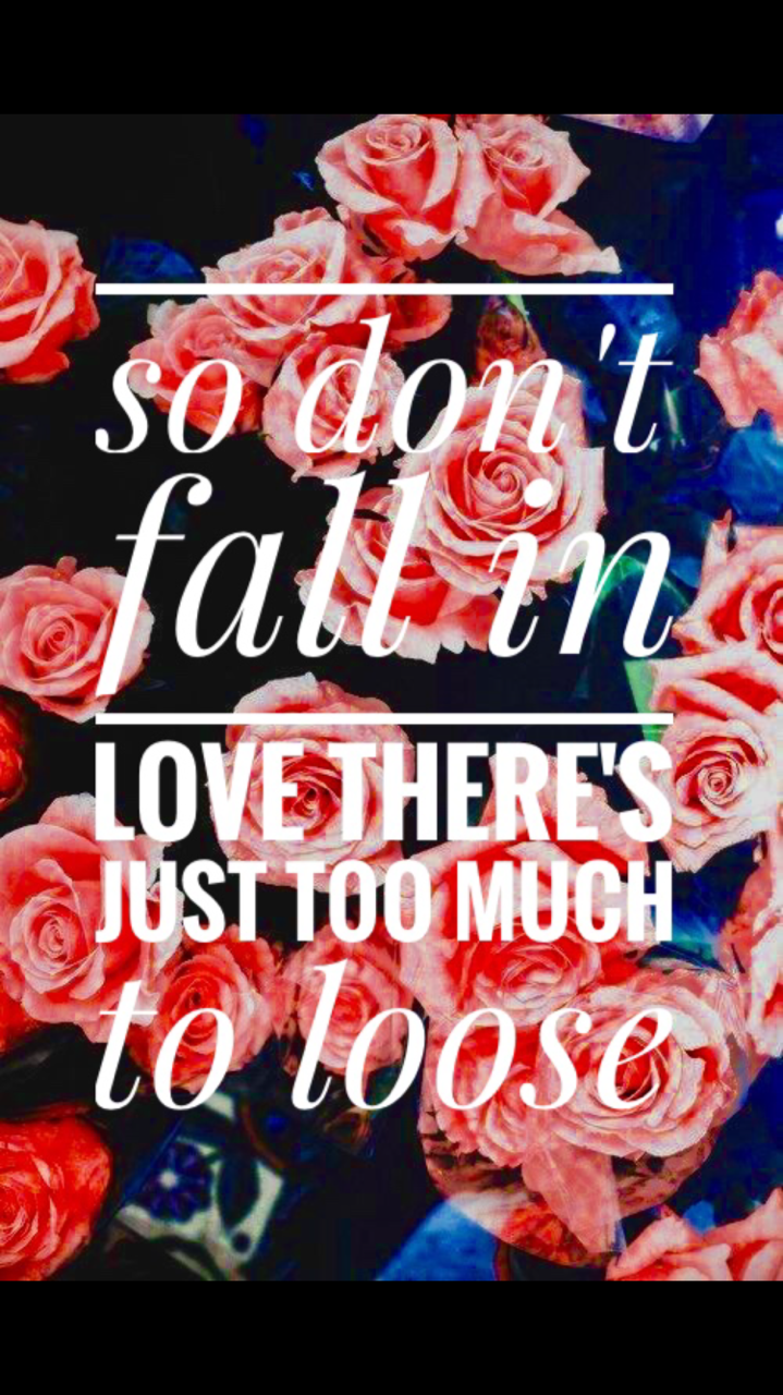 Terrible Things- Mayday Parade - Garden Roses - HD Wallpaper 