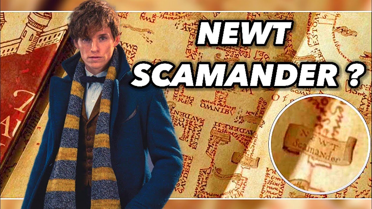 Newt Scamander On The Marauder's Map - HD Wallpaper 
