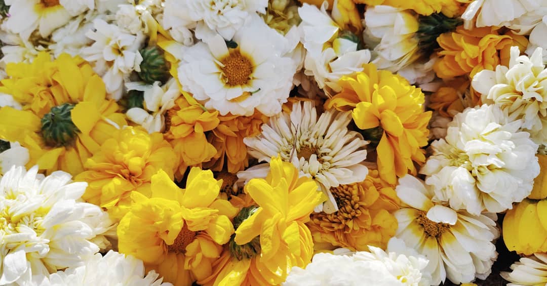 Bouquet - HD Wallpaper 