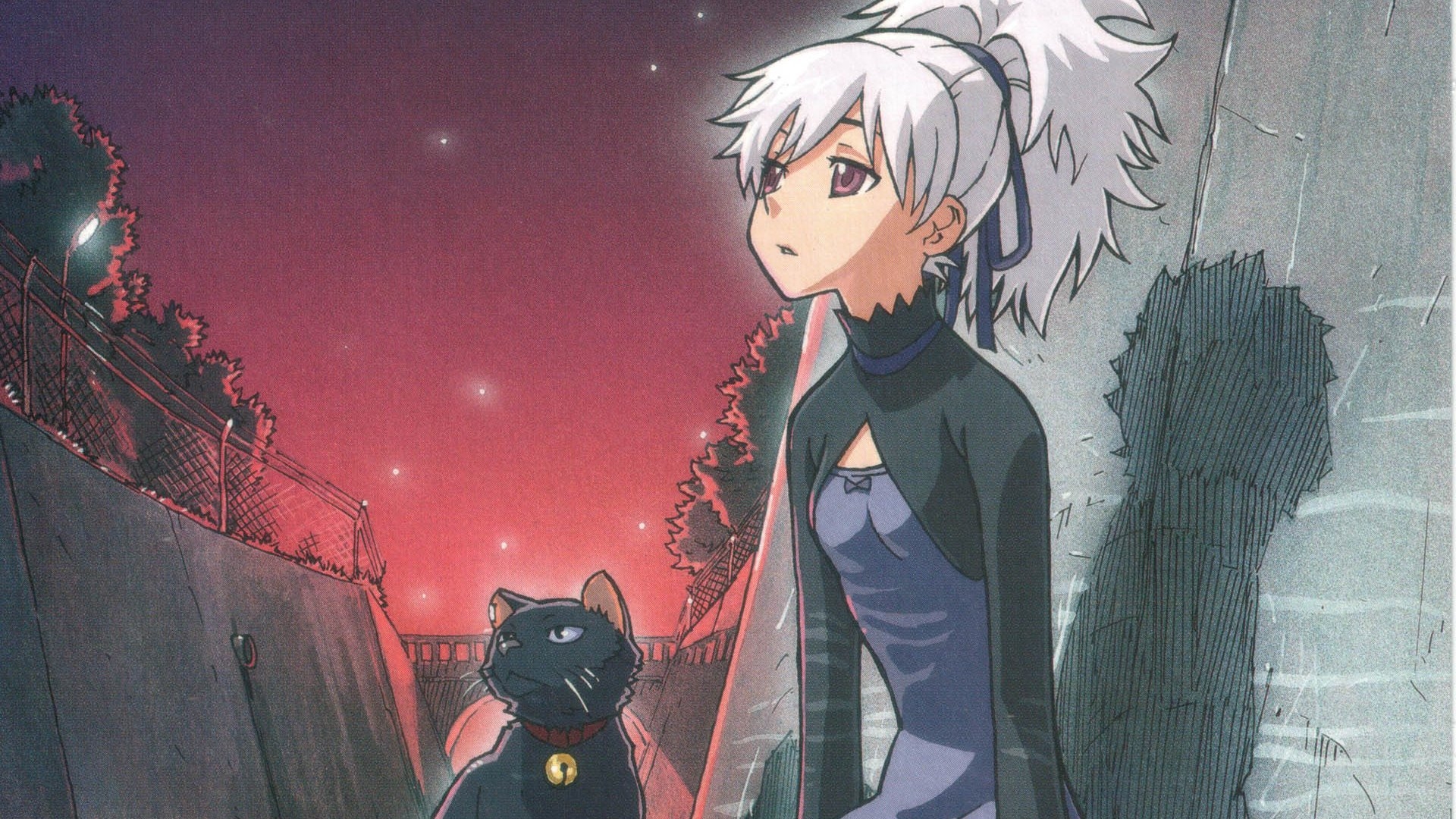 Darker Than Black Ryuusei 19x1080 Wallpaper Teahub Io