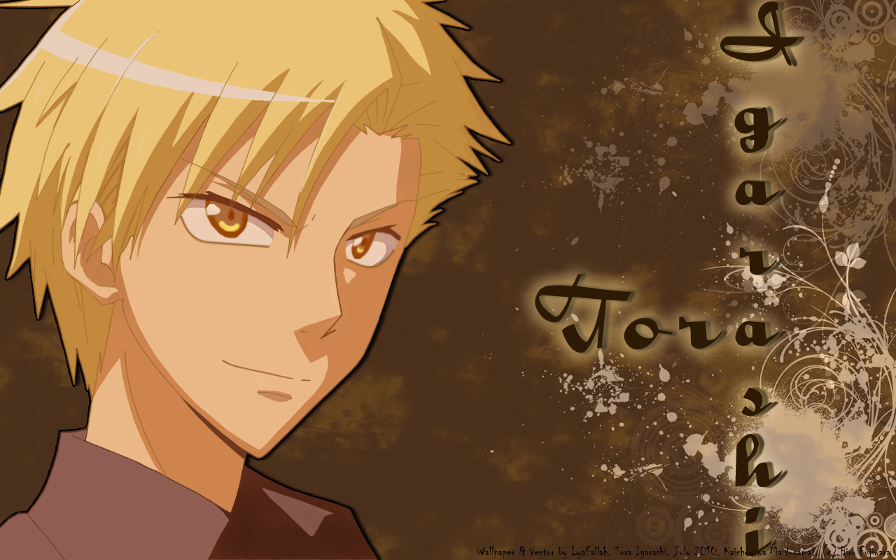 Hiro Fujiwara, J - Tora Igarashi Gallery Kaichou Wa Maid Sama - HD Wallpaper 