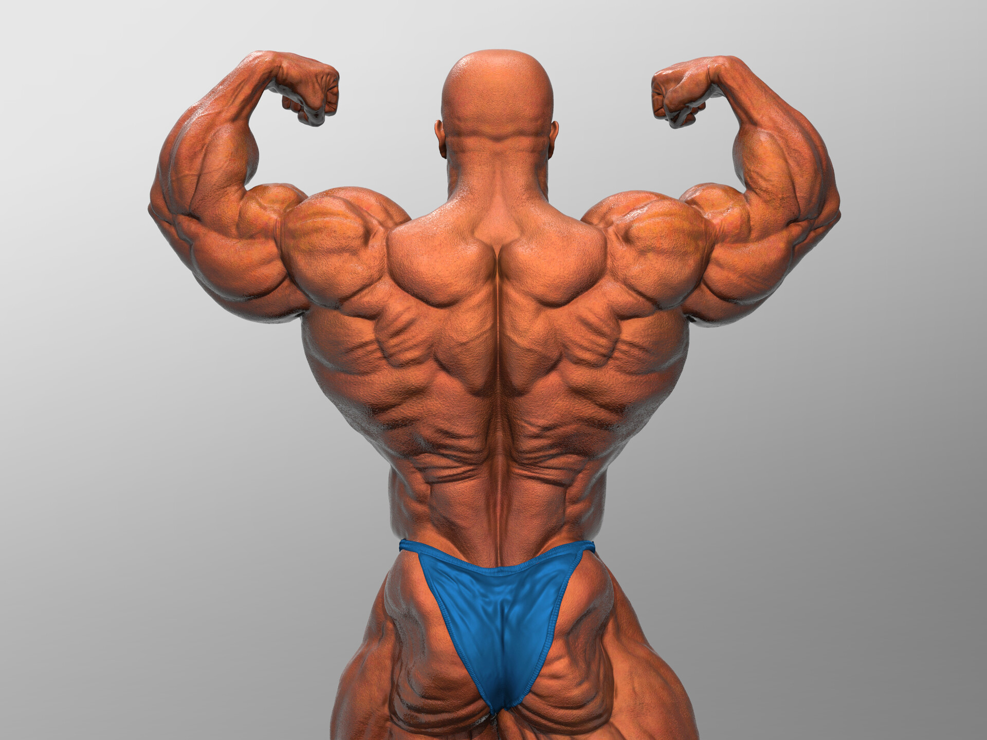 Bodybuilding - HD Wallpaper 