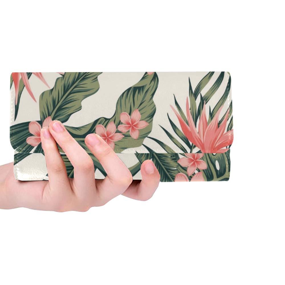 Protea - HD Wallpaper 