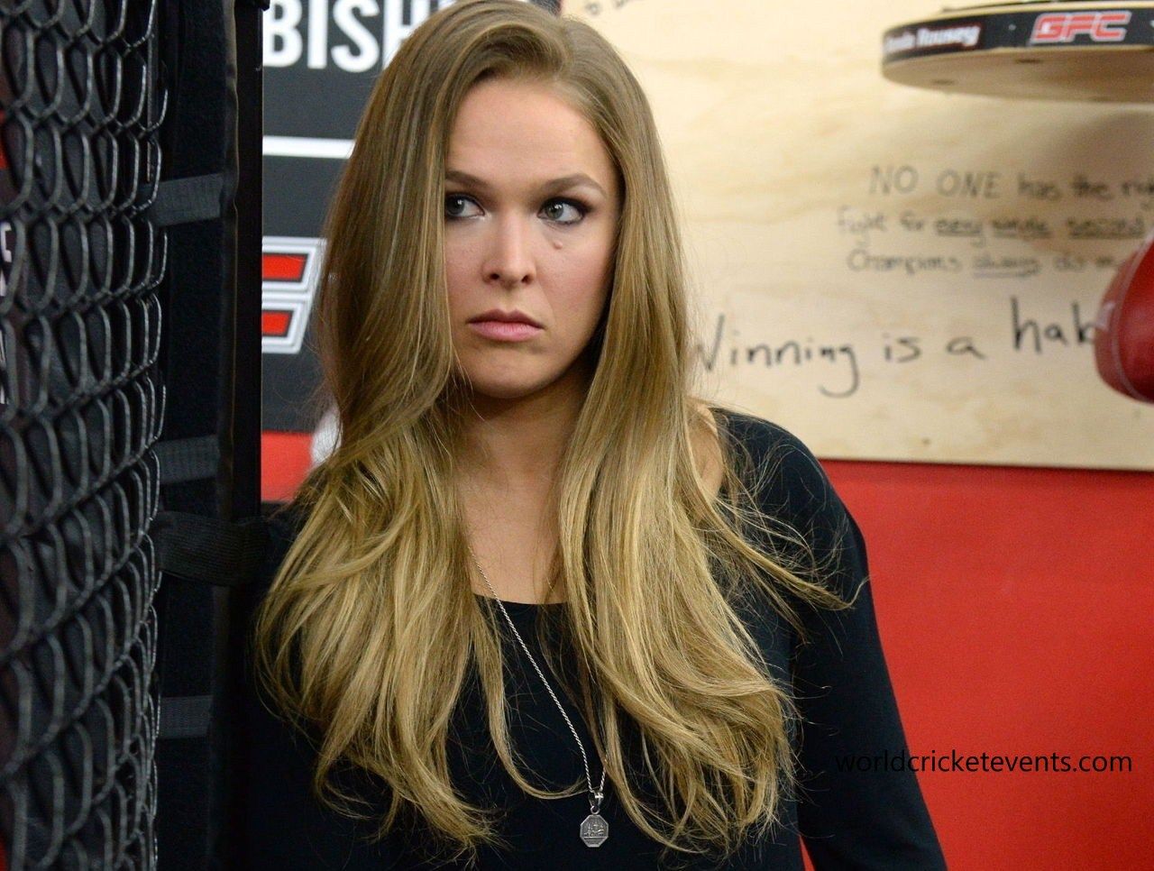 Ronda Rousey Images Hd - HD Wallpaper 