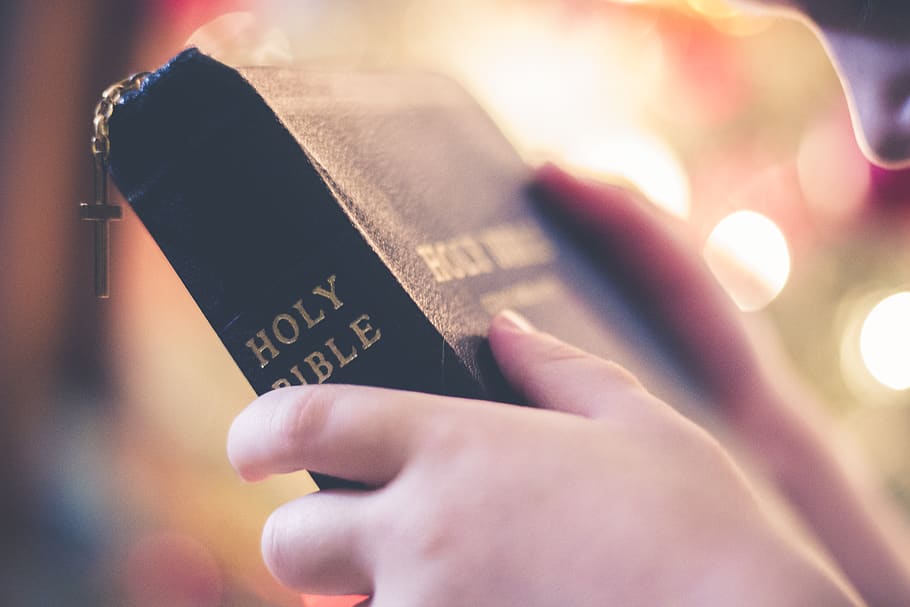 A Person Holding The Holy Bible - Someone Holding A Bible - HD Wallpaper 
