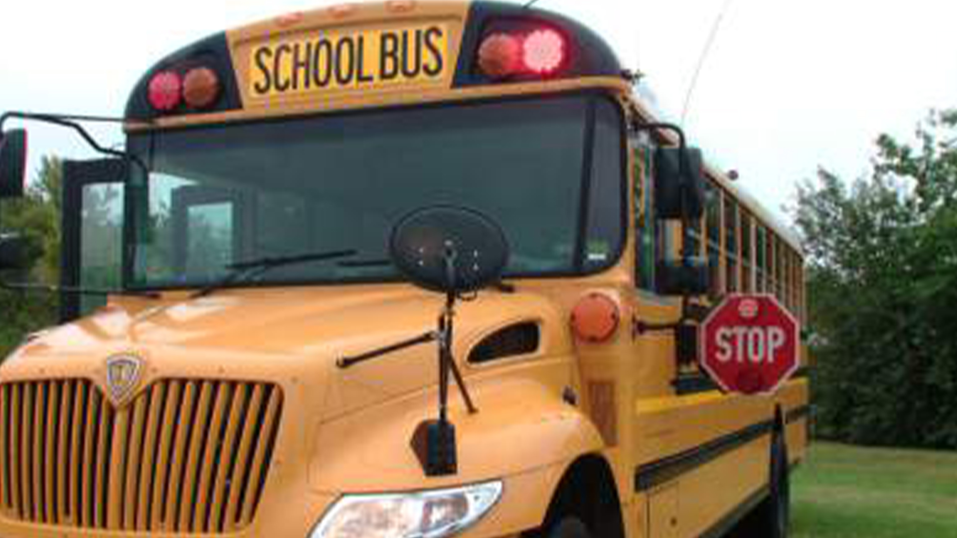 School Bus - HD Wallpaper 