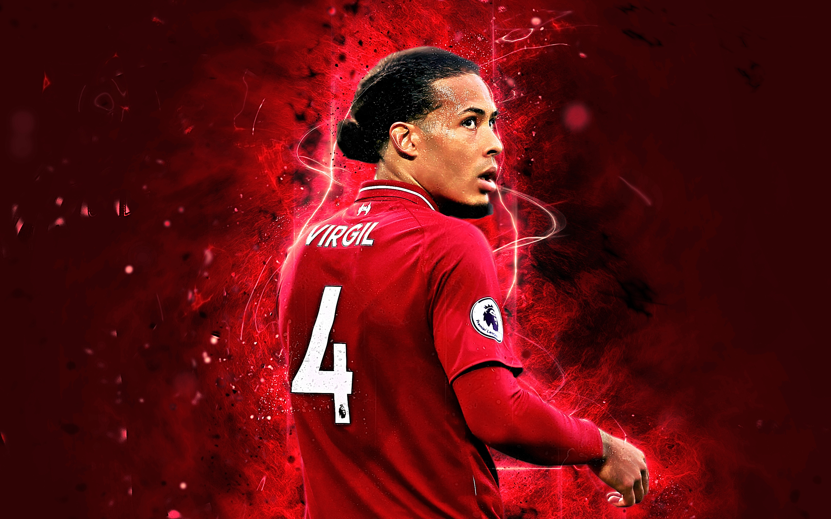 Virgil Van Dijk Back - HD Wallpaper 