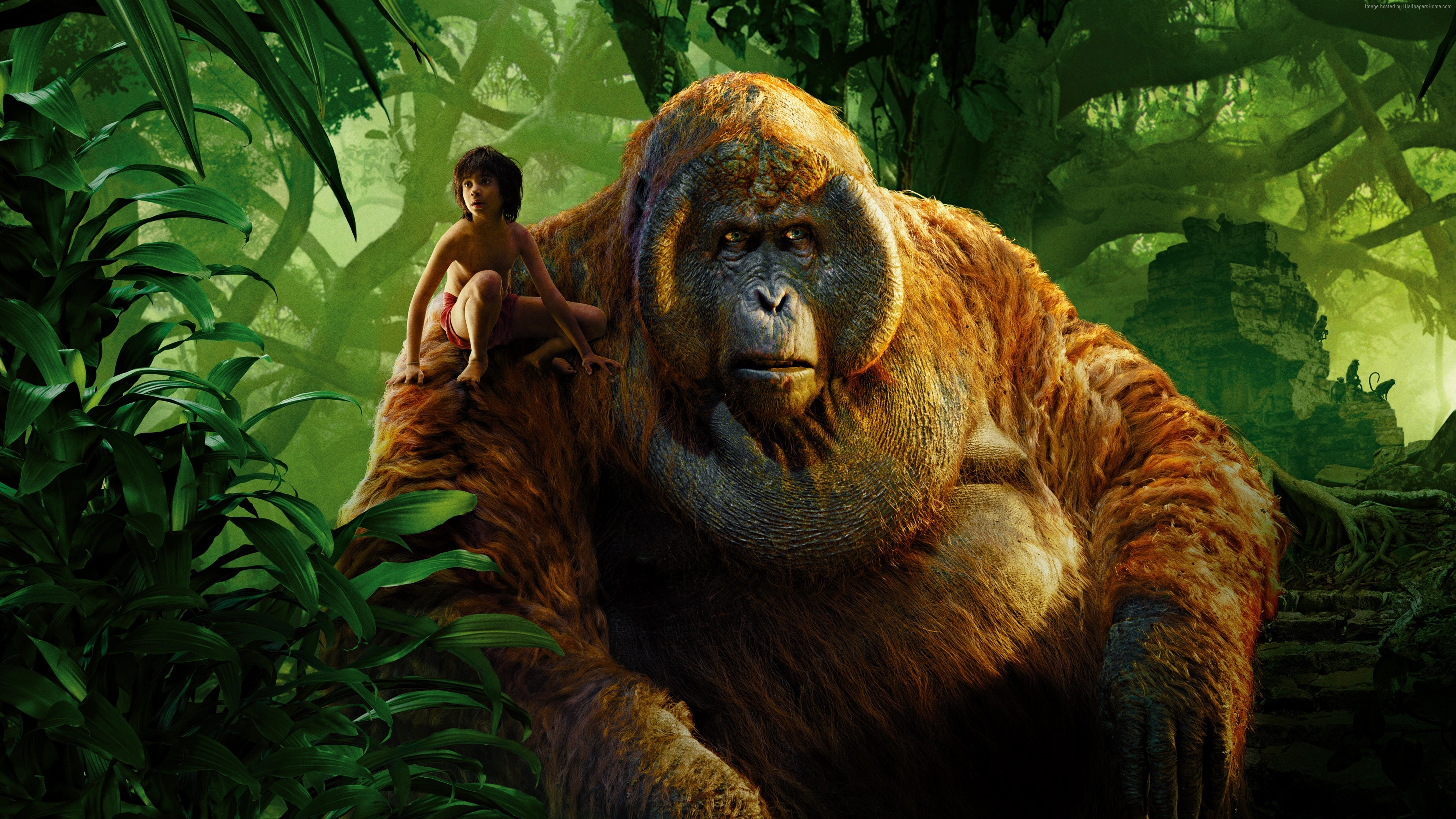 King Louie Mowgli 2018 - HD Wallpaper 
