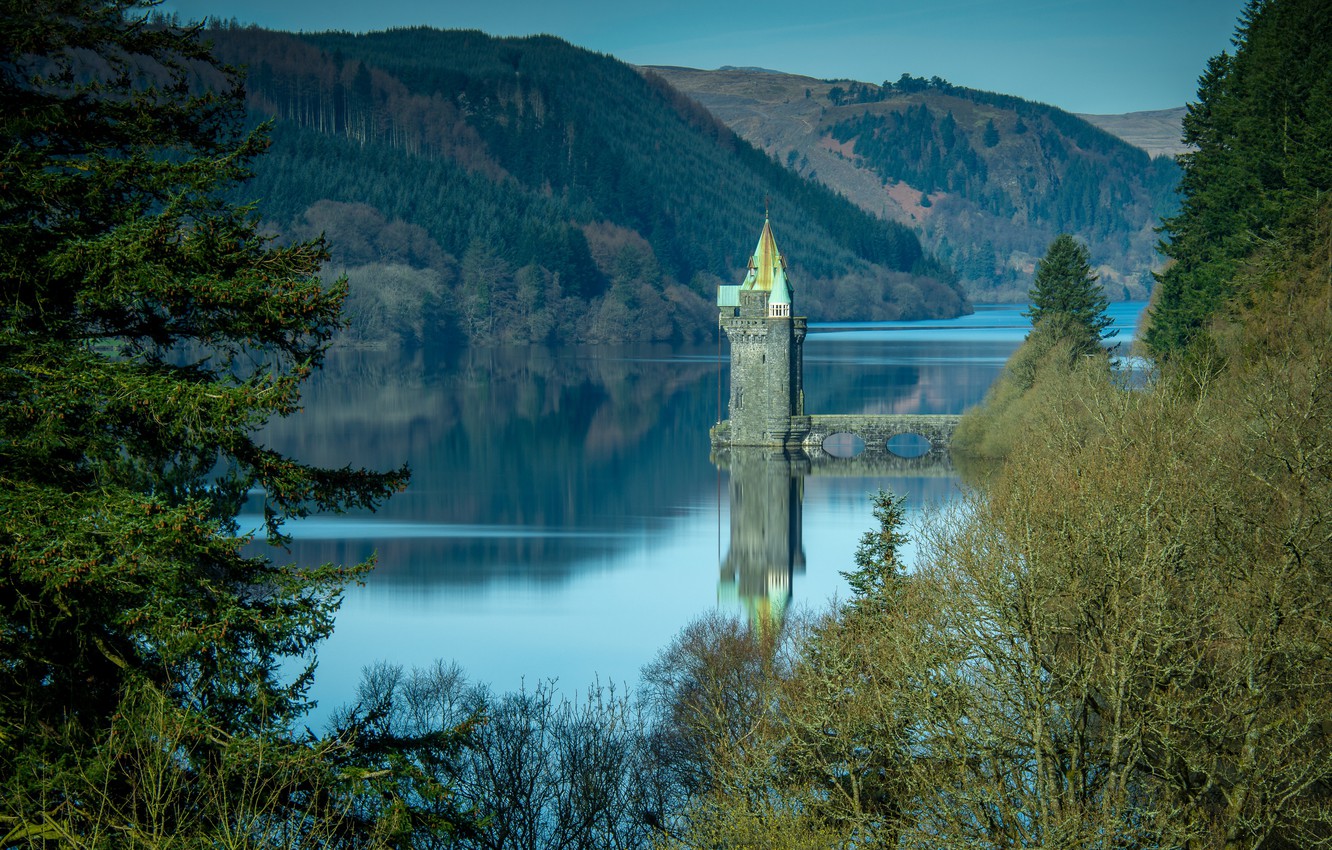 Photo Wallpaper Forest, Lake, Surface, Calm, Tower, - Summit - HD Wallpaper 