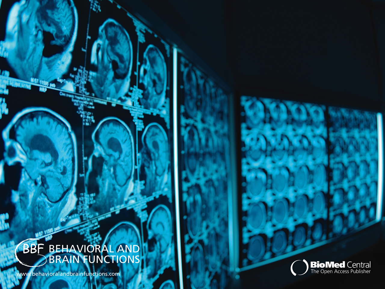 Neuroscience Wallpaper Biomed Central Wallpapers - Medical Physics - HD Wallpaper 