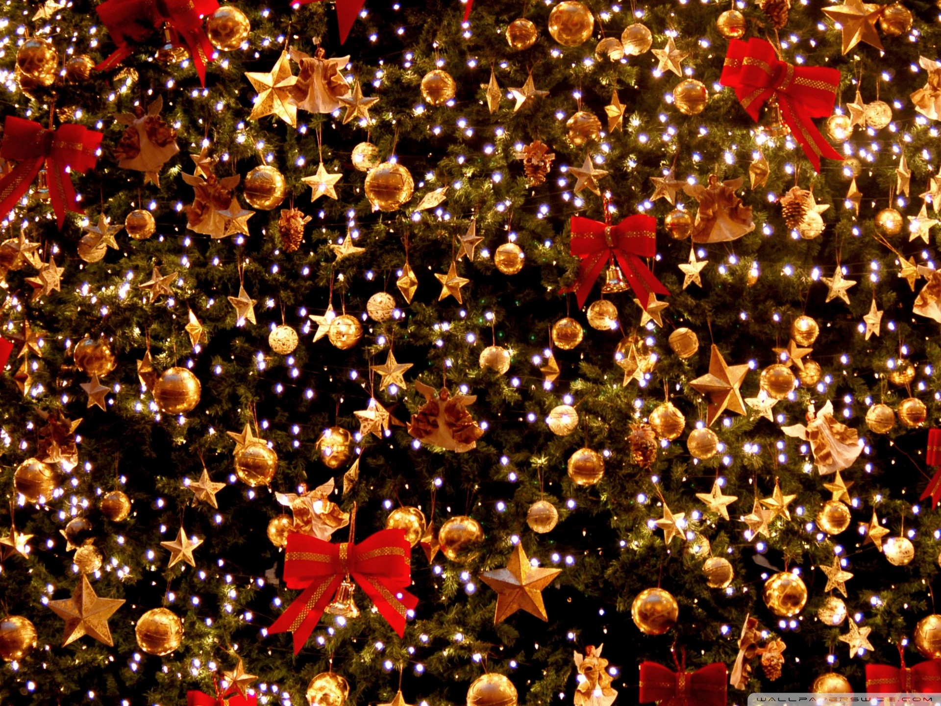 Standard 
 Data-src - Ipad Chirstmas Tree Backgrounds - HD Wallpaper 