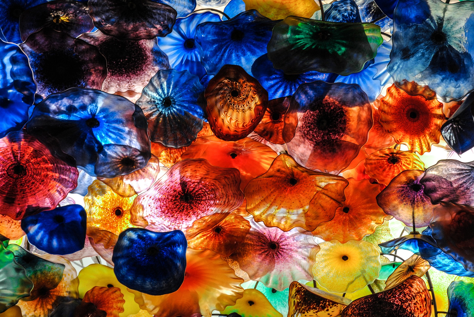 Orphan Drug Vc Invest Trend - HD Wallpaper 