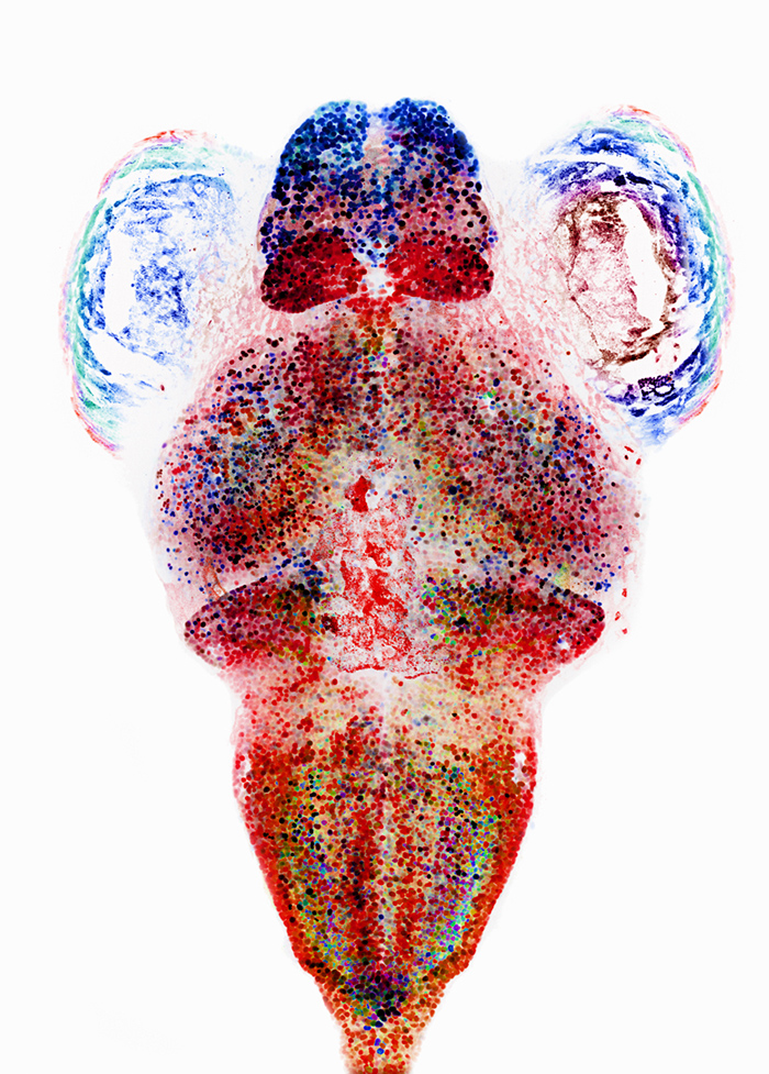 Visual Arts - HD Wallpaper 