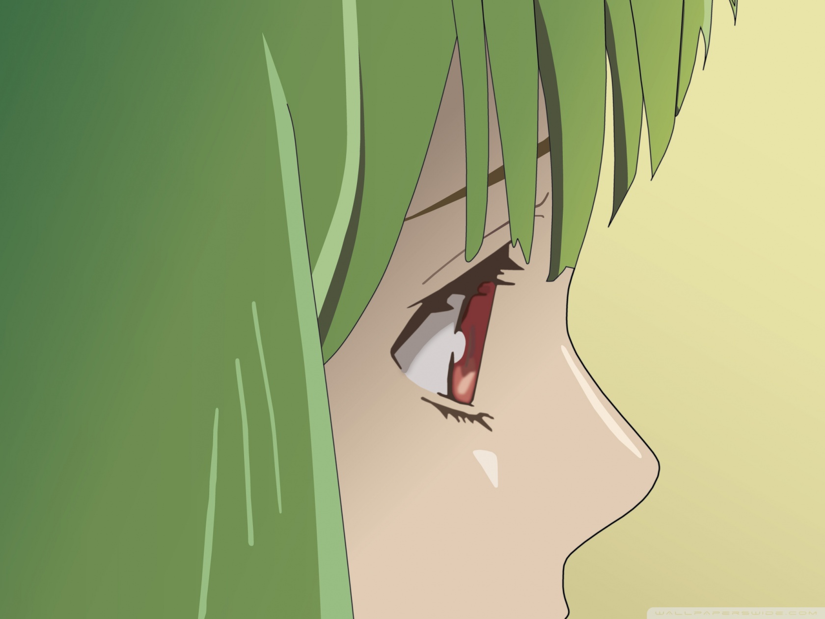 Wallpaper - HD Wallpaper 